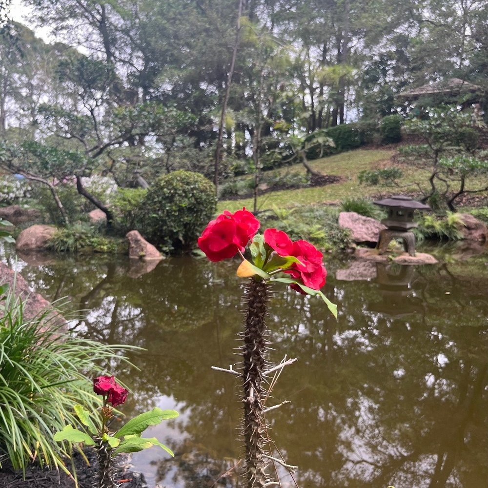 Meet your Posher, Caroline